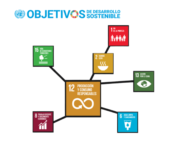 Metas de Sostenibilidad