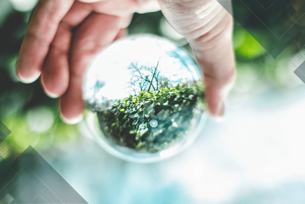 Economía Circular: ¿Qué hacer para lograrlo?