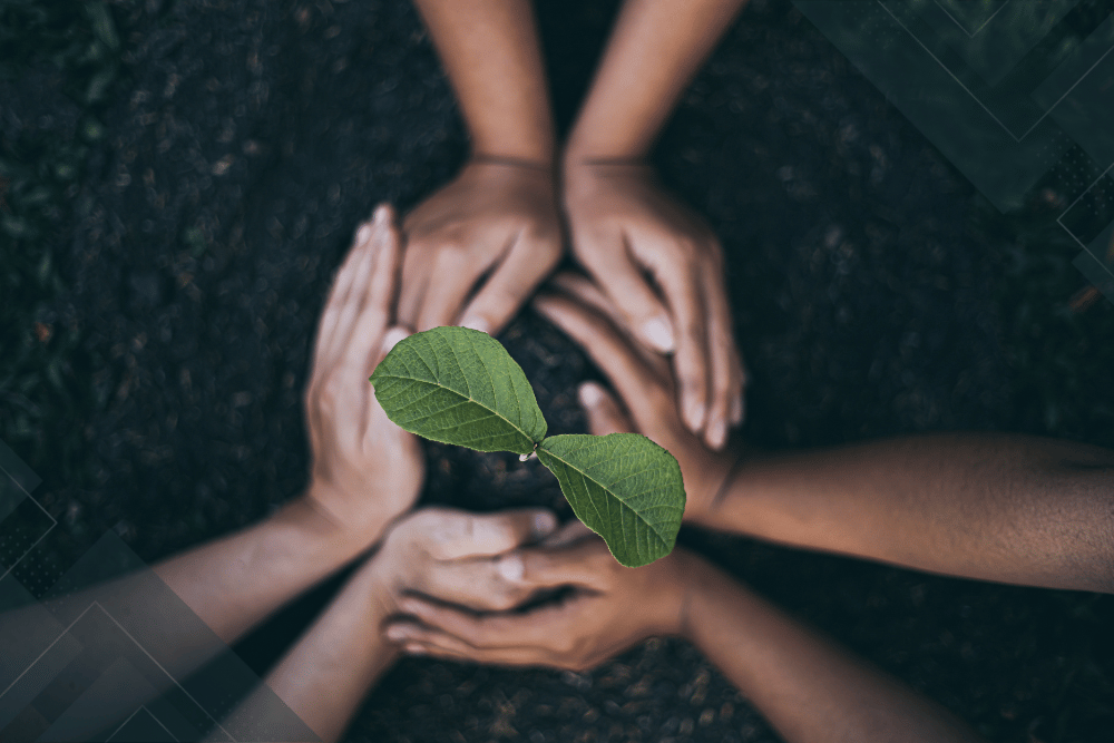 Replantear el reciclaje para obtener un mayor impacto