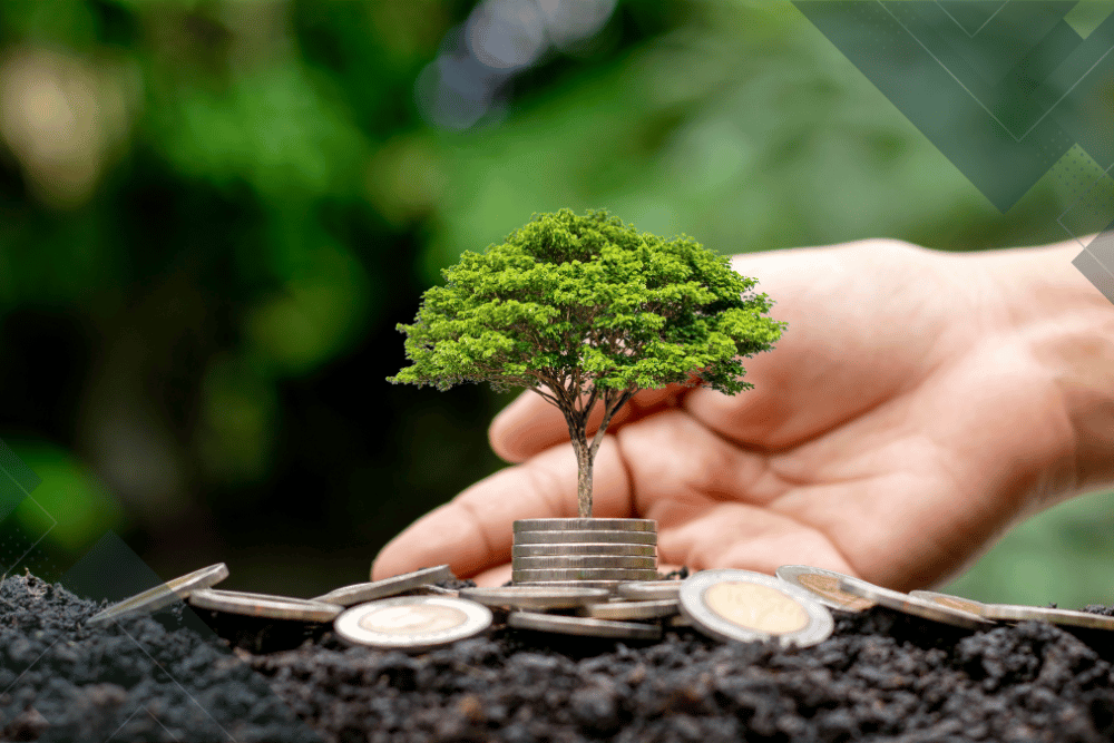 Transición a ISO 50001 para reducir su huella de carbono